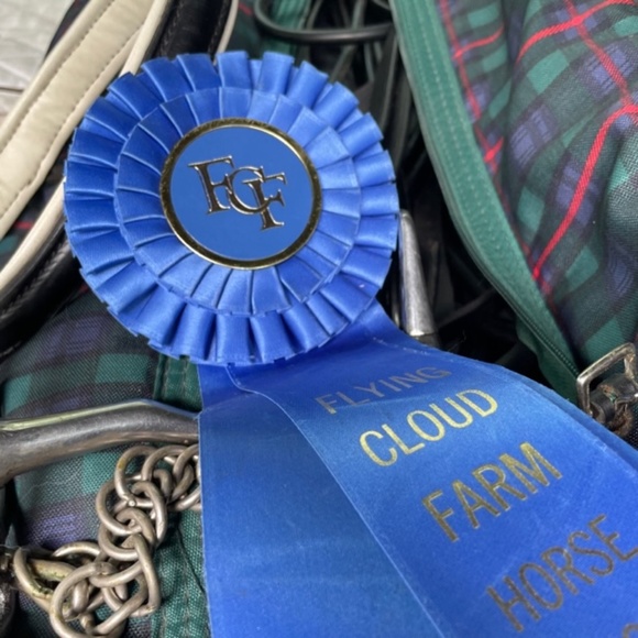 Vintage Equestrian Accents Blue Ribbon St Place Horse Show Satin